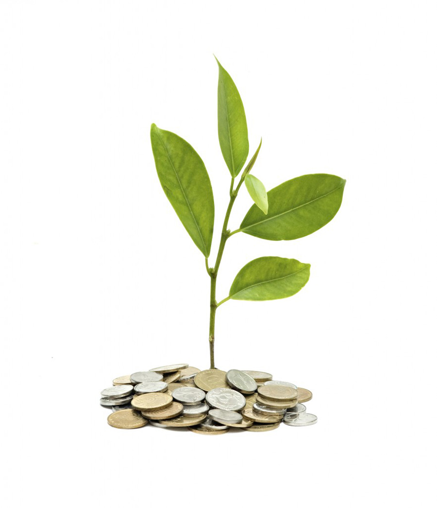 Assurances et paiement Montcalm